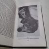 Picture of H G Belschner's Horse Diseases