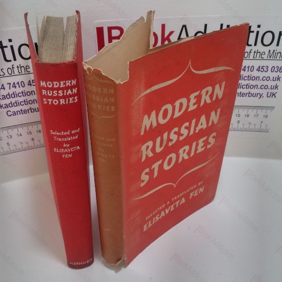 Picture of Modern Russian Stories