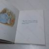 Picture of Fabula de Petro Cuniculo [The Tale of Peter Rabbit]