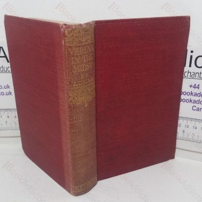 Picture of Verena in the Midst: A Kind of a Story