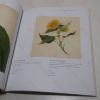 Picture of Chinese Art and the Reeves Collection (Images of Nature series)