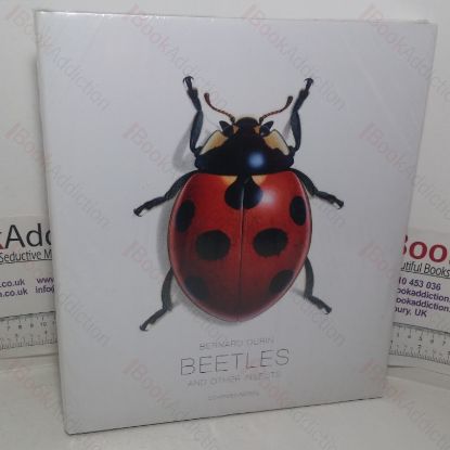Picture of Beetles and other Insects
