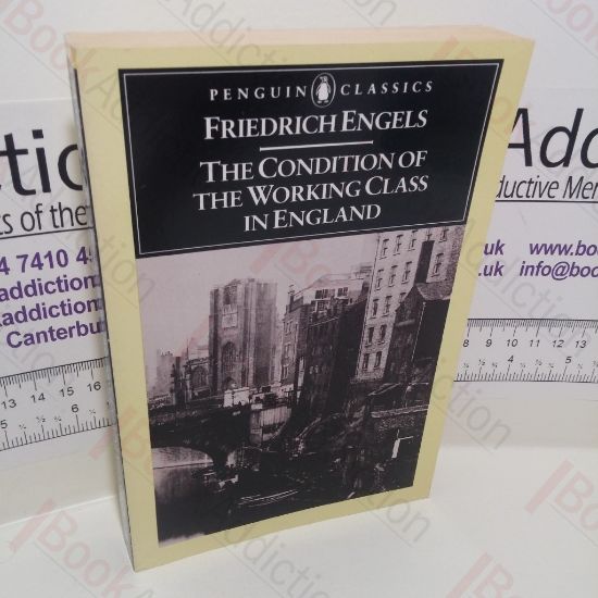 Picture of The Condition of the Working Class in England