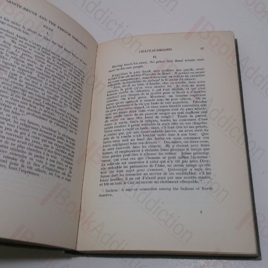 Picture of Sainte-Beuve and the French Romantics: Selected Passages