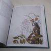Picture of A Passion for Plants: Contemporary Botanical Masterworks