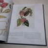 Picture of A History and Dictionary of British Flower Painters, 1650-1950