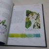 Picture of Botanical Illustration: Painting with Watercolours