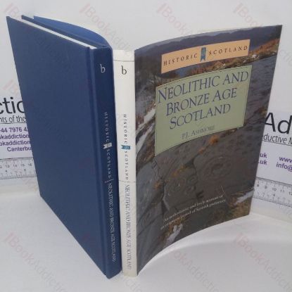 Picture of Neolithic and Bronze Age Scotland (Historic Scotland series)