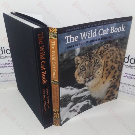 Picture of The Wild Cat Book: Everything You Ever Wanted to Know about Cats