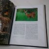 Picture of The Wild Cat Book: Everything You Ever Wanted to Know about Cats