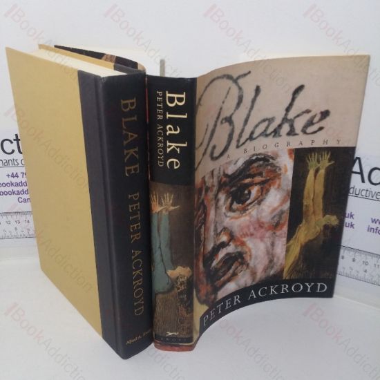 Picture of Blake: A Biography