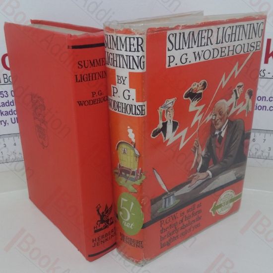 Picture of Summer Lightning