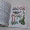 Picture of Alpine Flowers (Hallway Pocket Book)