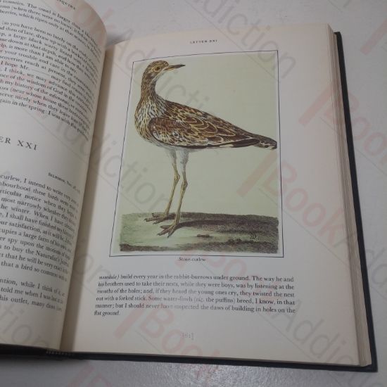 Picture of The Illustrated Natural History of Selborne