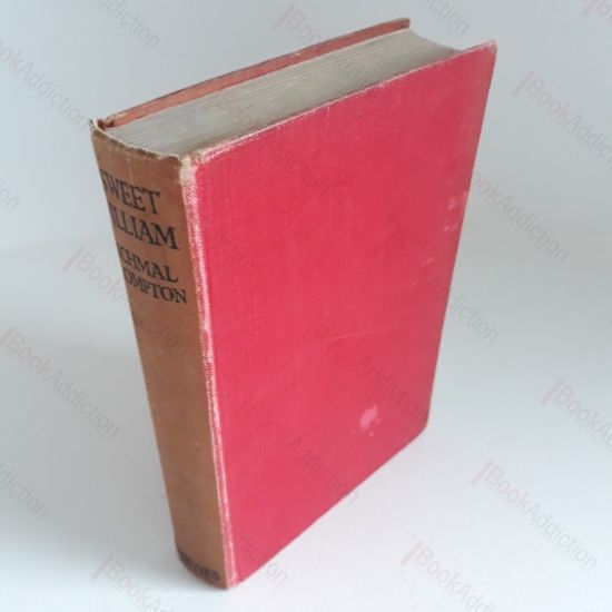 Picture of Sweet William (Just William)