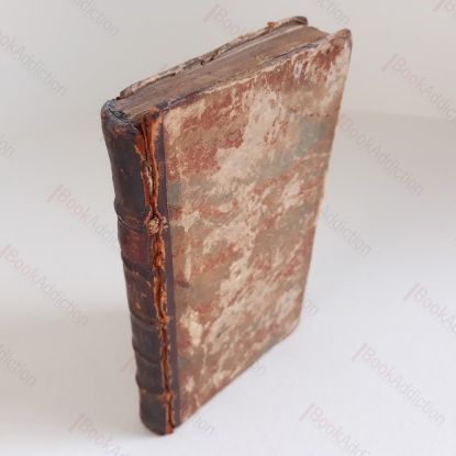 Picture of The Widow of the Wood