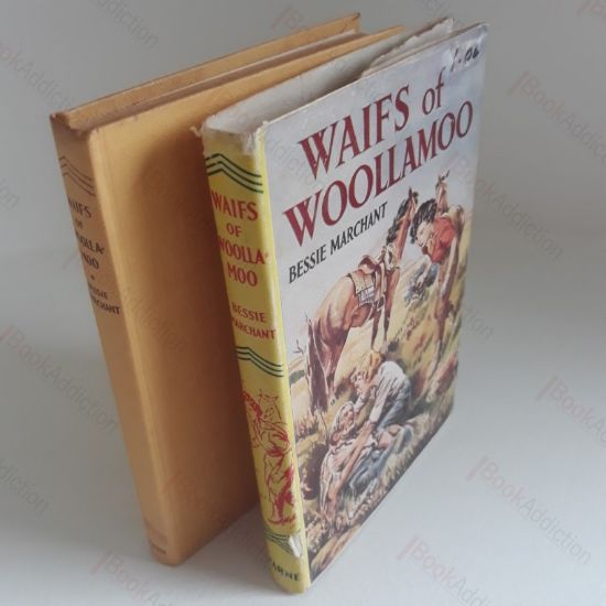 Picture of Waifs of Woollamoo