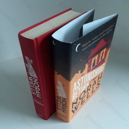 Picture of The Astonishing Return of Norah Wells