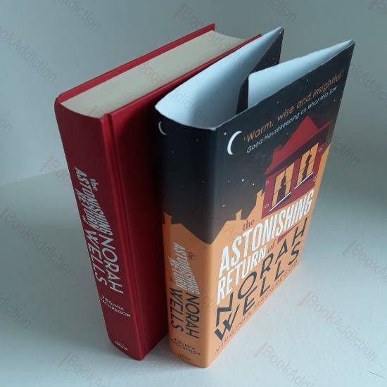 Picture of The Astonishing Return of Norah Wells