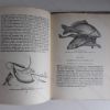 Picture of British Angler's Natural History (Britain in Pictures No. 109)