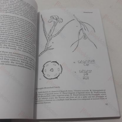 Picture of Biggles of the Interpol (Knight Books)