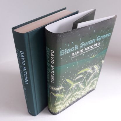 Picture of Black Swan Green