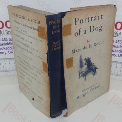 Picture of Portrait of a Dog