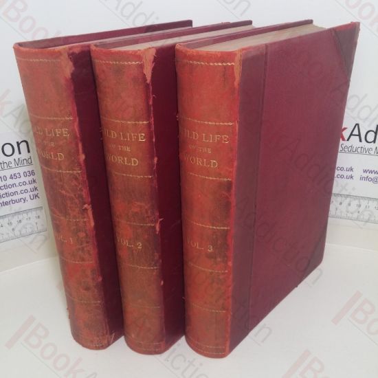 Picture of Wild Life of the World: A Descriptive Survey of the Geographical Distribution of Animals (Volumes I, II and III)