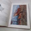 Picture of Wild Life of the World: A Descriptive Survey of the Geographical Distribution of Animals (Volumes I, II and III)