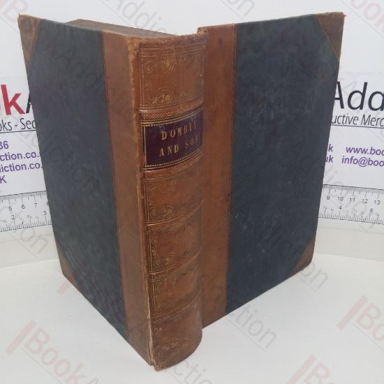 Picture of Dealings with the Firm of Dombey and Son, Wholesale, Retail and for Exportation