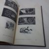 Picture of Joan Hassall, Engravings and Drawings