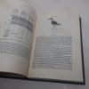 Picture of Waders (New Naturalist series, No. 65)