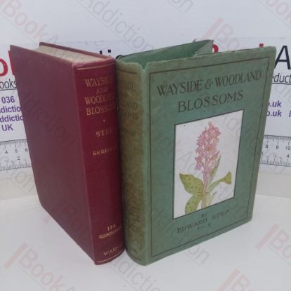 Picture of Wayside and Woodland Blossoms: A Pocket Guide to British Wild-flowers for the Country Rambler