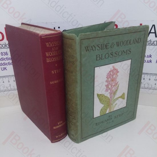 Picture of Wayside and Woodland Blossoms: A Pocket Guide to British Wild-flowers for the Country Rambler