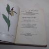 Picture of Wayside and Woodland Blossoms: A Pocket Guide to British Wild-flowers for the Country Rambler