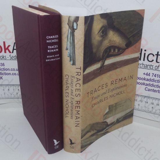 Picture of Traces Remain: Essays And Explorations