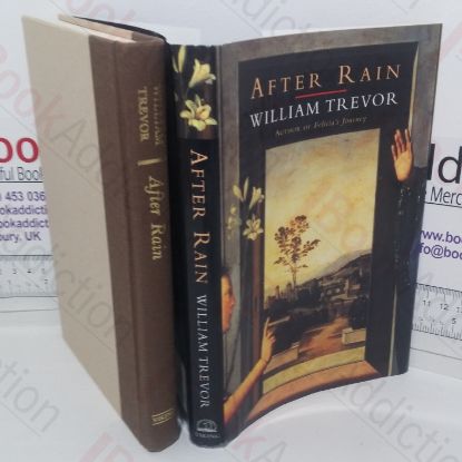 Picture of After Rain