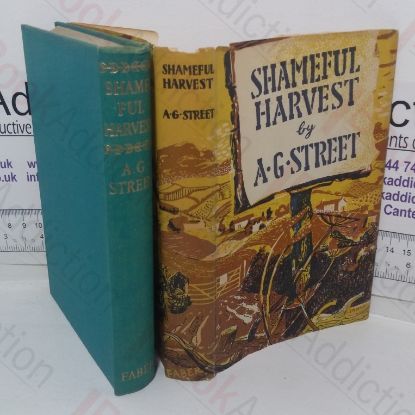 Picture of Shameful Harvest