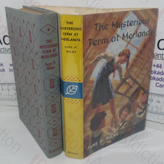 Picture of The Mysterious Term at Merlands