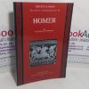 Picture of Homer (New Surveys in the Classics series, No. 26)