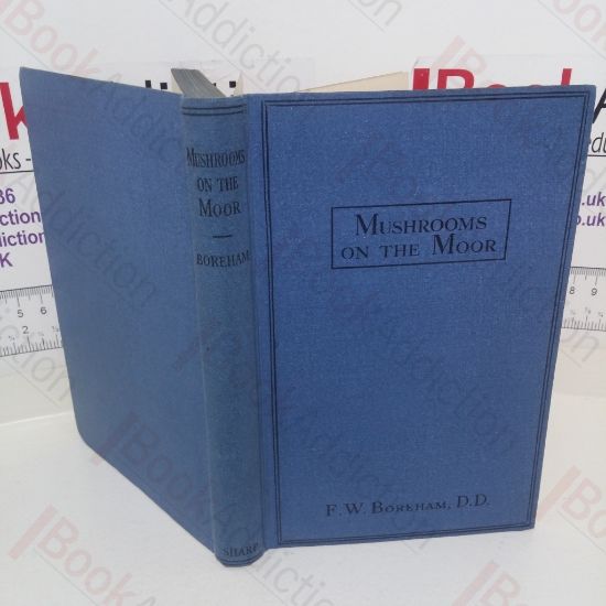 Picture of Mushrooms on the Moor