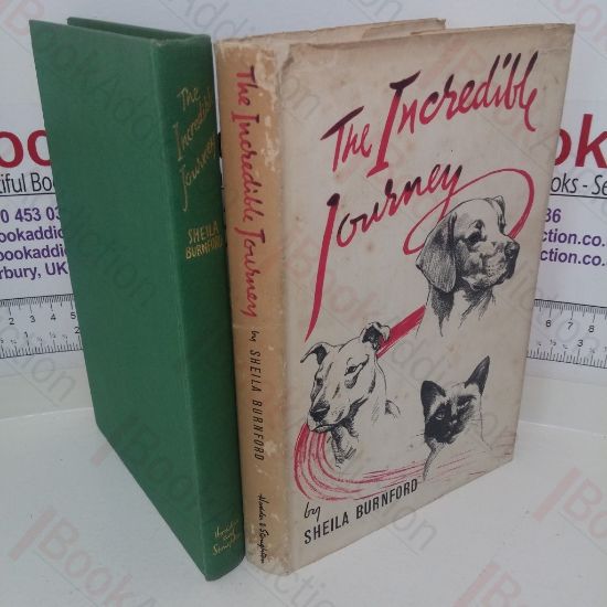 Picture of The Incredible Journey