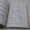 Picture of Hertfordshire Archaeology: The Transactions of the St Albans and Hertfordshire Architectural and Archaeological Society and East Hertfordshire Archaeological Society (Volume 4, 1974-76)