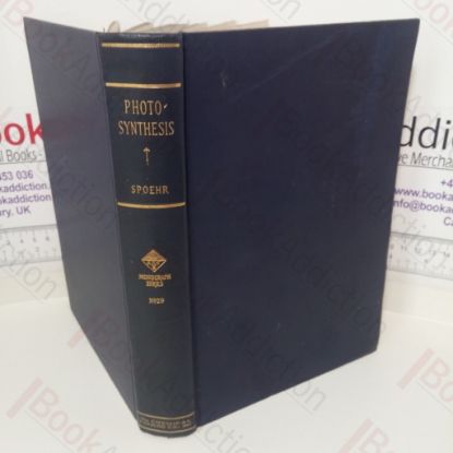 Picture of Photosynthesis