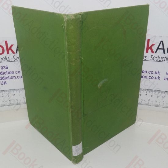 Picture of The Irish Struggle, 1916-1926