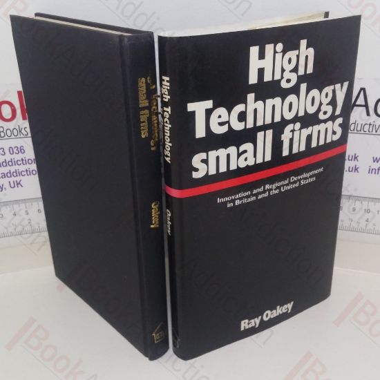 Picture of High Technology Small Firms: Innovation and Regional Development in Britain and the United States