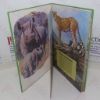 Picture of Baby Animals (Favourite Children's Library)