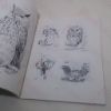 Picture of Drawing Animals & Birds