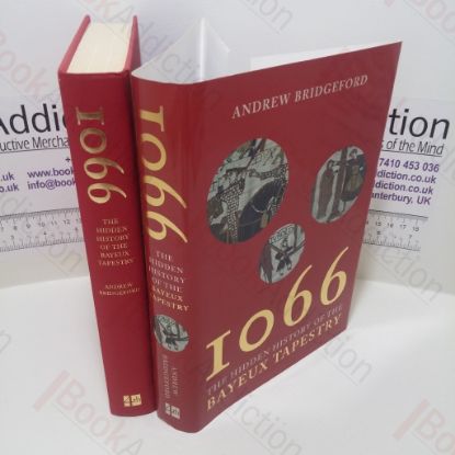 Picture of 1066 : The Hidden History of the Bayeux Tapestry