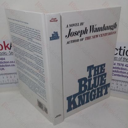 Picture of The Blue Knight